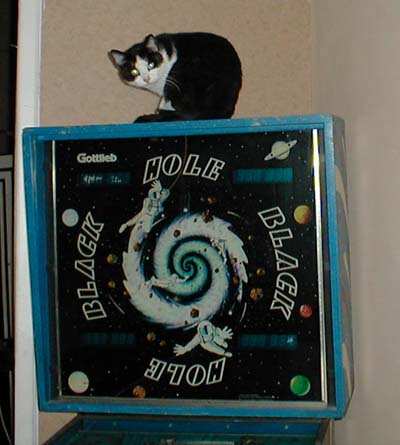 cat on black hole pinball machine