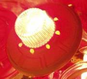 afm leds