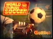 World Challenge Soccer